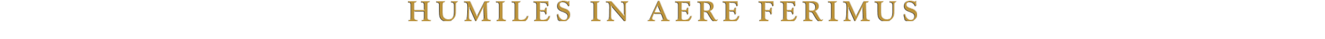 logo 41Paluabt